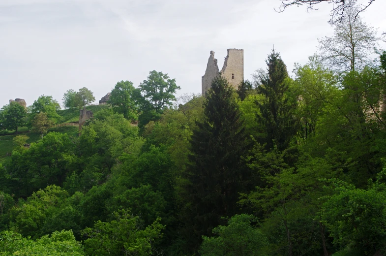 castle with a large tower and trees surrounding it