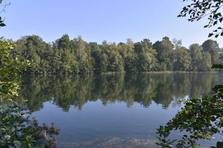 the lake is surrounded by many trees and grass