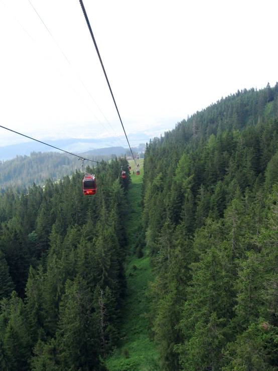 two gondolas on a ski lift surrounded by trees