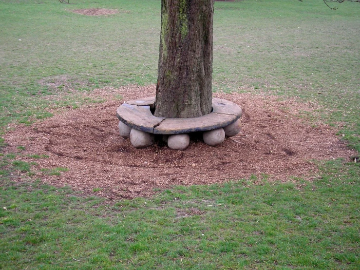 a bench sits beneath a large tree