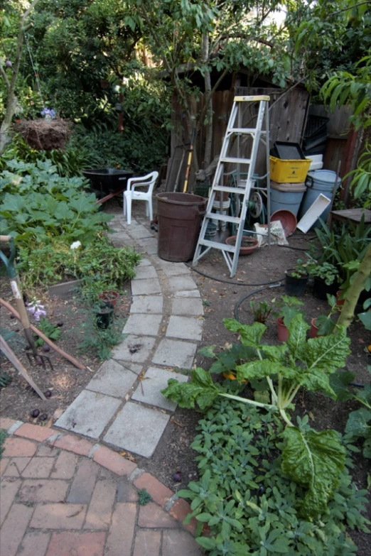 a small garden with a ladder and plants