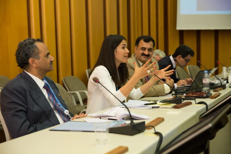 people sitting at a table during a panel meeting