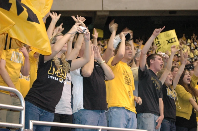 a group of people cheering in the stands