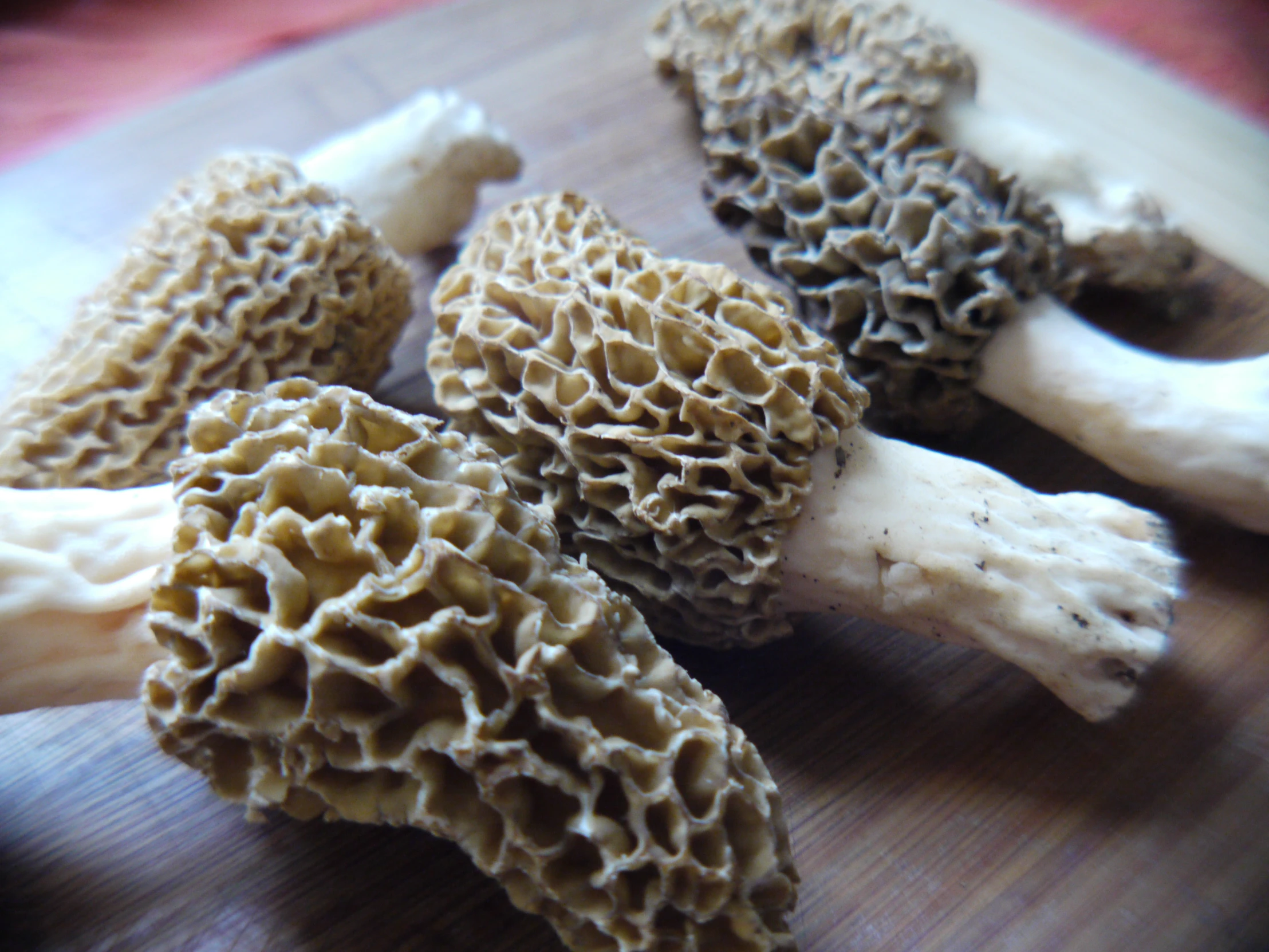 a group of different kinds of mushrooms on a  board