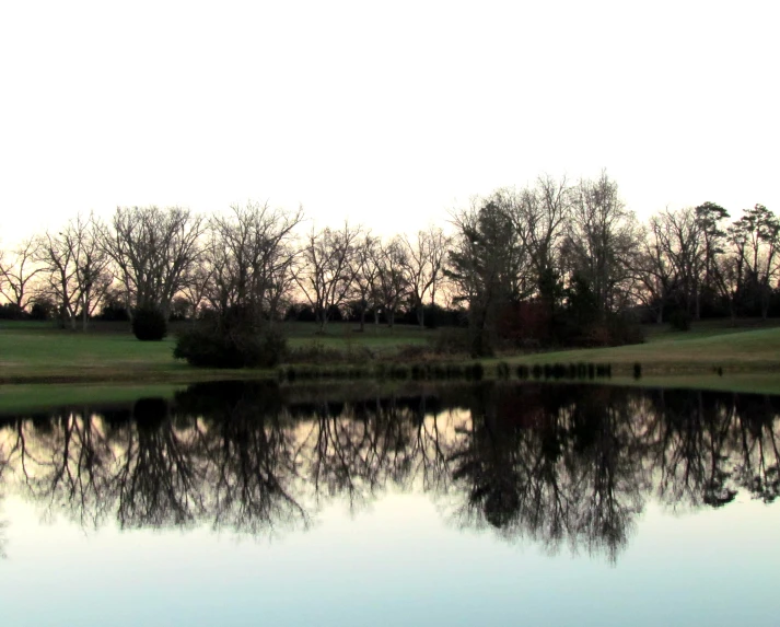 a water way with trees and grass and sky in background