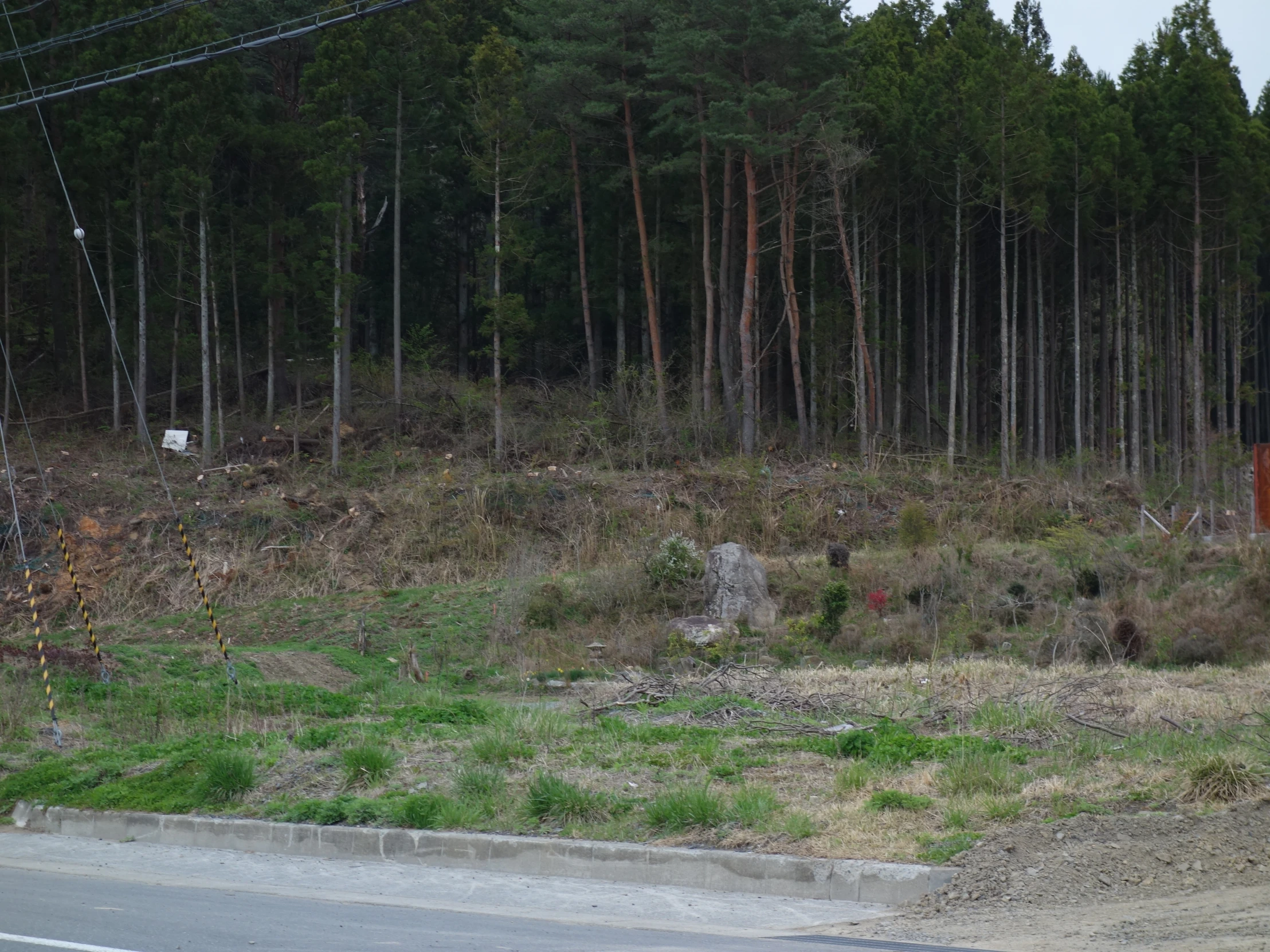 an old yellow fire hydrant stands in the grass next to an asphalt road