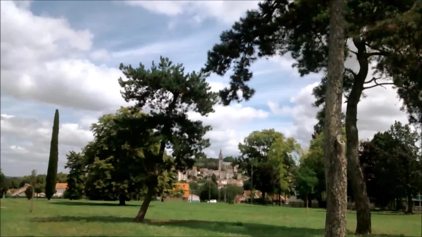 two trees and a grass field with an old building in the background