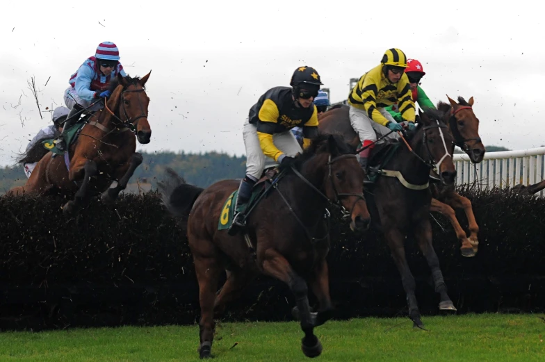 jockeys on their horses jumping over a small fence