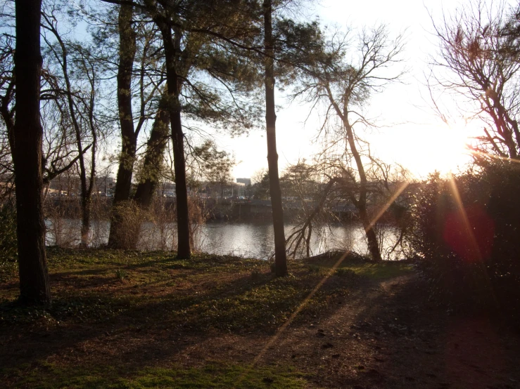 the sun rises as the water shines through trees