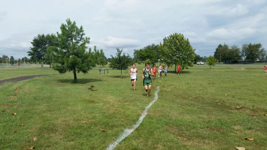 the athletes are running towards a tree