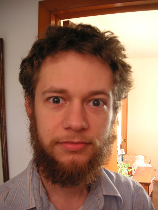 man with long beard and shirt posing for camera