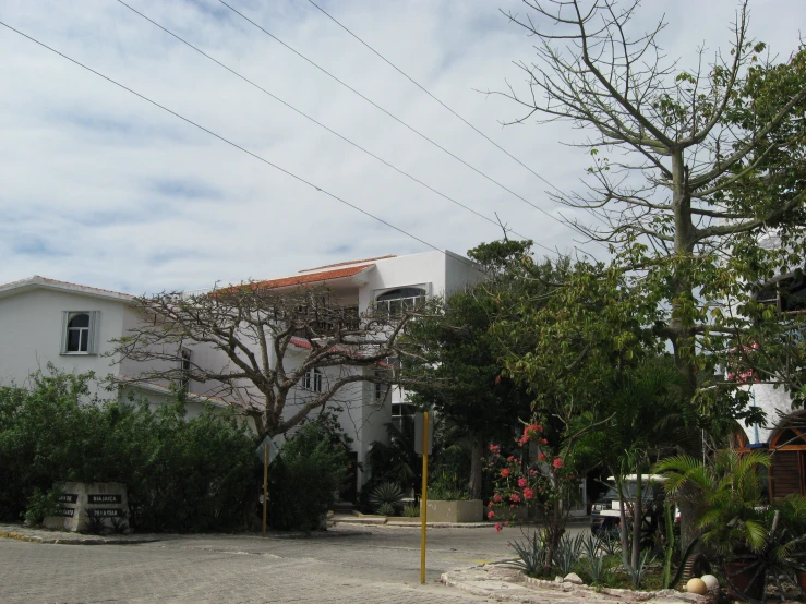 two large white houses near trees on a cloudy day