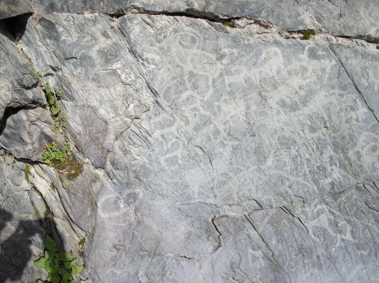 an artistic rock painting with green vegetation growing from it