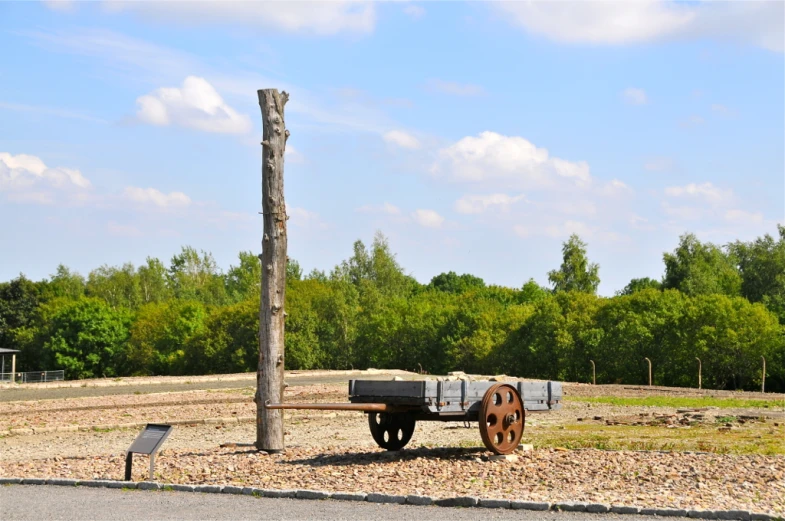 the wagon was left on the land beside the tree