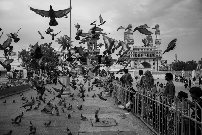 a large flock of pigeons flying in front of a building