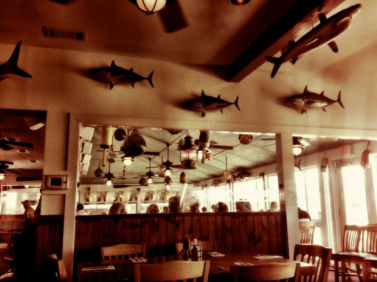 the wall in the restaurant has several fake fish on it