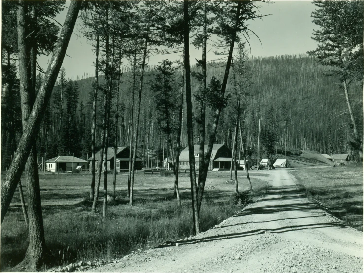 black and white po of small cabins in the woods