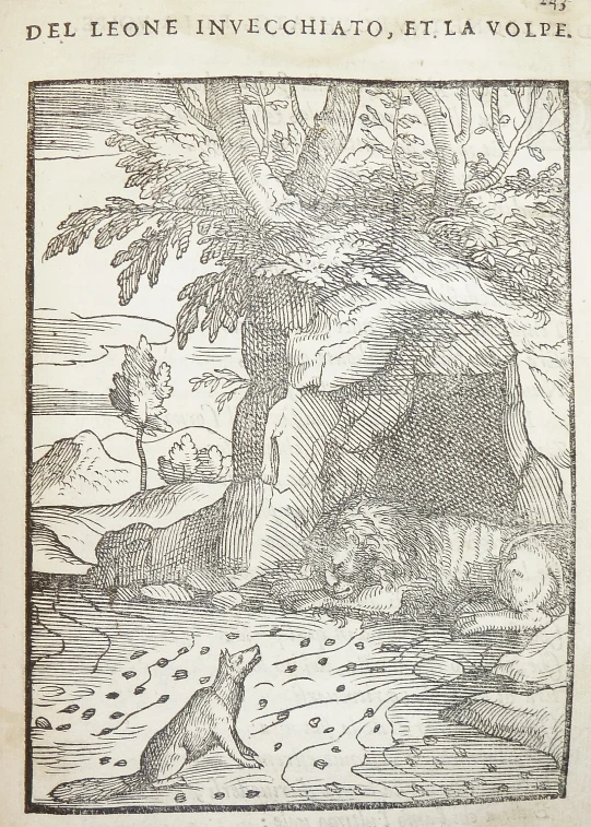 an engraving depicting the creation of a river and land