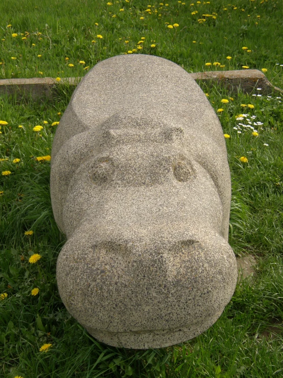 the gray hippo is sitting on a stone in the grass