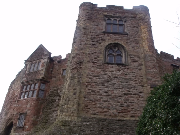 an old brick castle is near a small tree