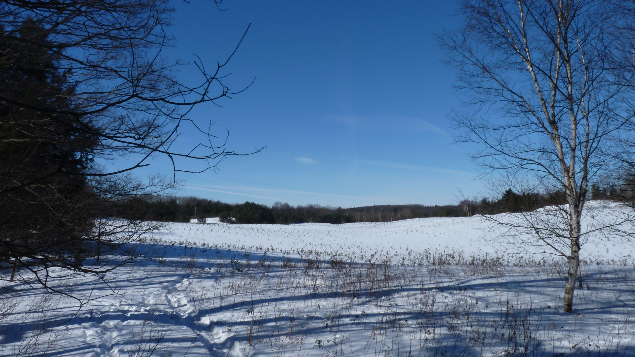 a scenic view of snow covered field with bare trees