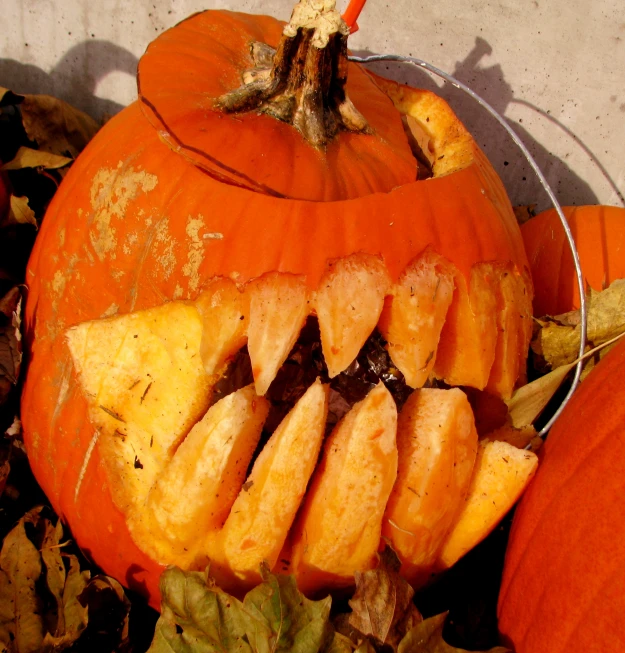 orange pumpkins with leaves surrounding them and one of them is sliced in half