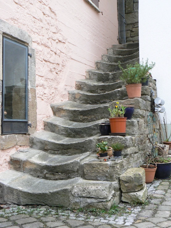 this is an image of potted plants on a set of steps