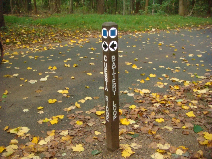 a wooden pole is decorated with stick faces