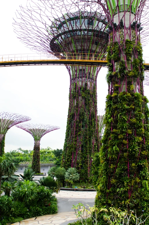 an image of the garden with many trees