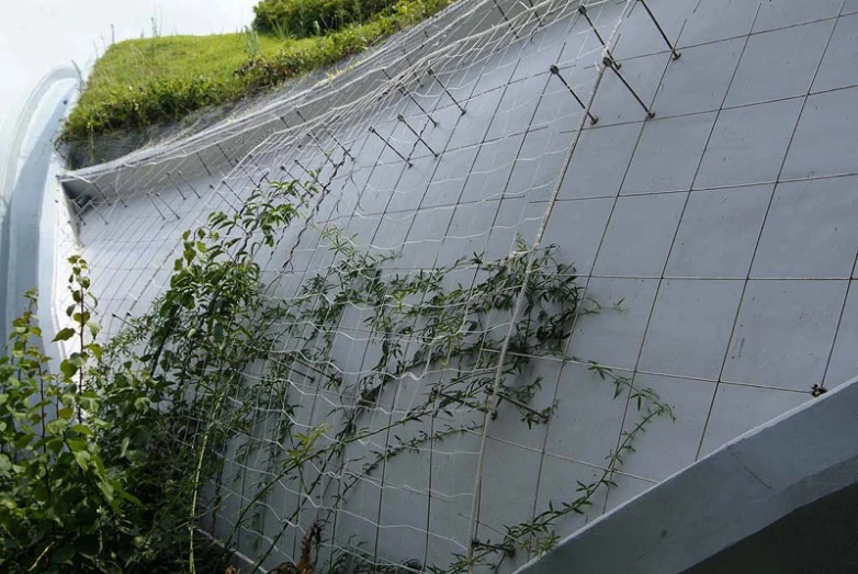 a fence is next to a building that has ivy growing on it