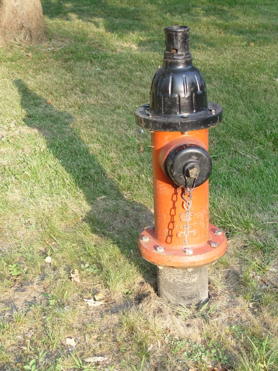 an orange fire hydrant in the middle of the grass