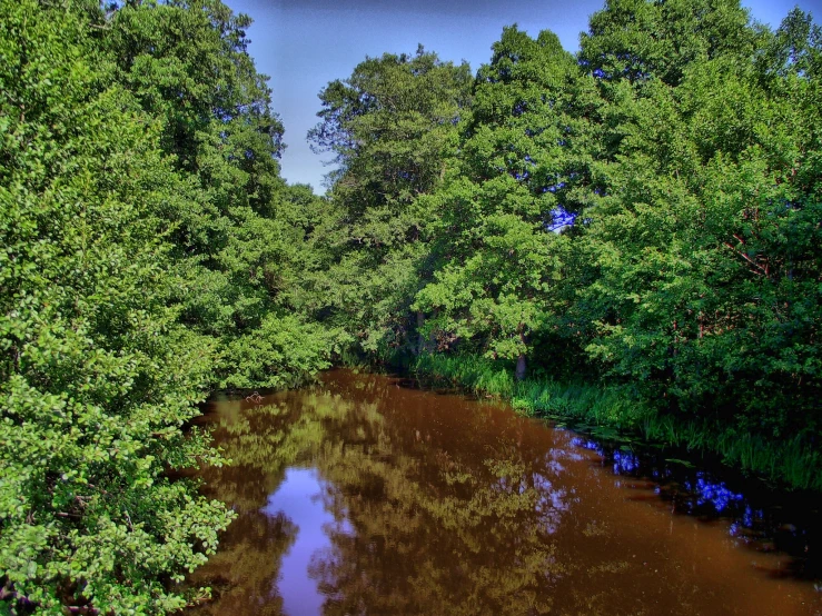 a river with brown water surrounded by lush green trees
