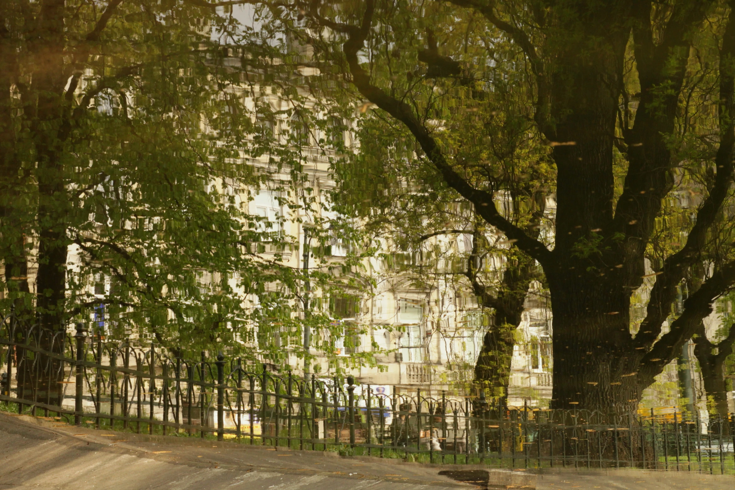 two buses are parked in front of a building