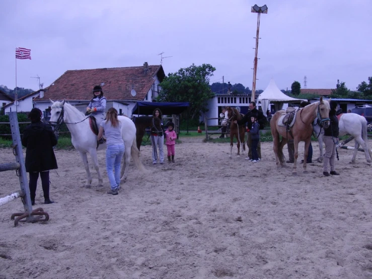 a group of people stand around horses in a sandy area