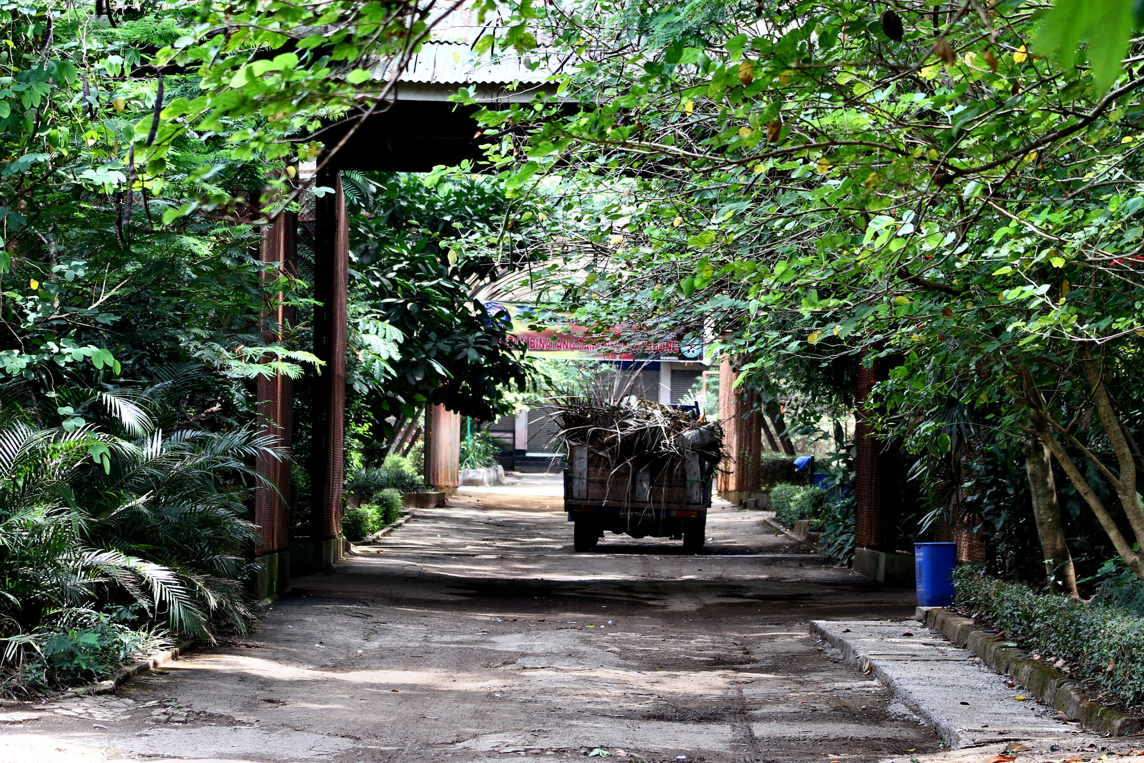 a truck driving down a dirt road near trees