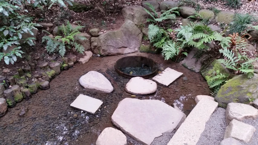 stone blocks placed around a pond surrounded by green foliage