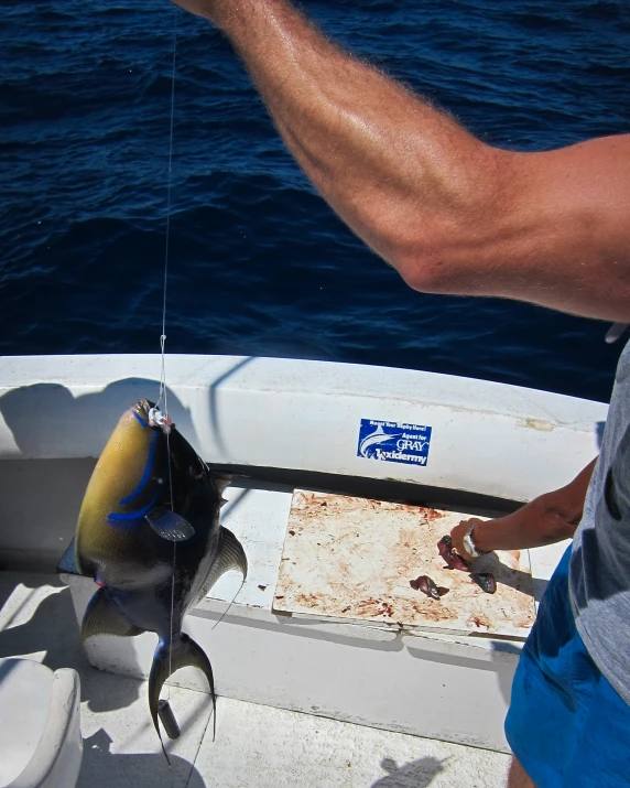 a large blue fish that is on the bow of a boat