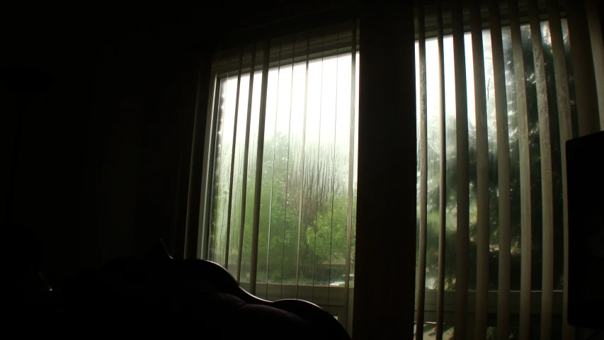 the window is open and shows a wooded setting