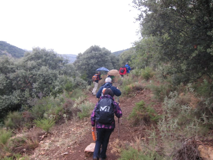 several people hiking up a dirt hill with umbrellas