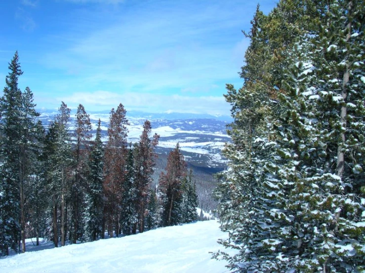 the snow covered landscape looks like a scenic place