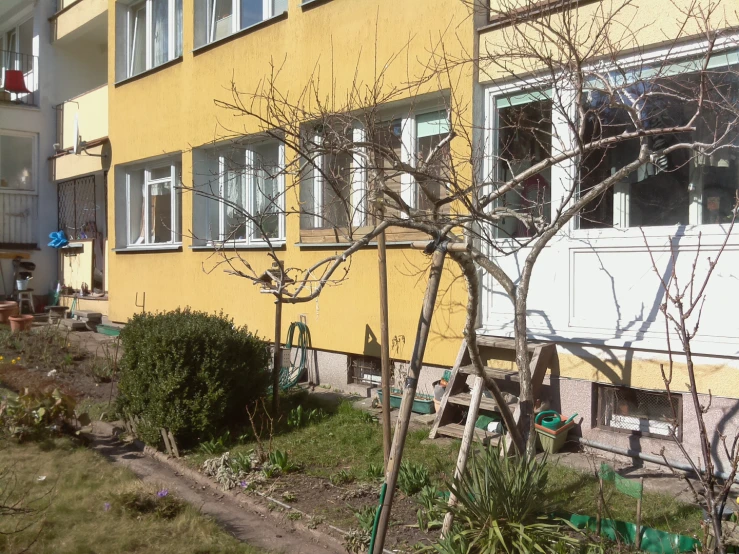 a yellow building with several windows, bushes and other trees