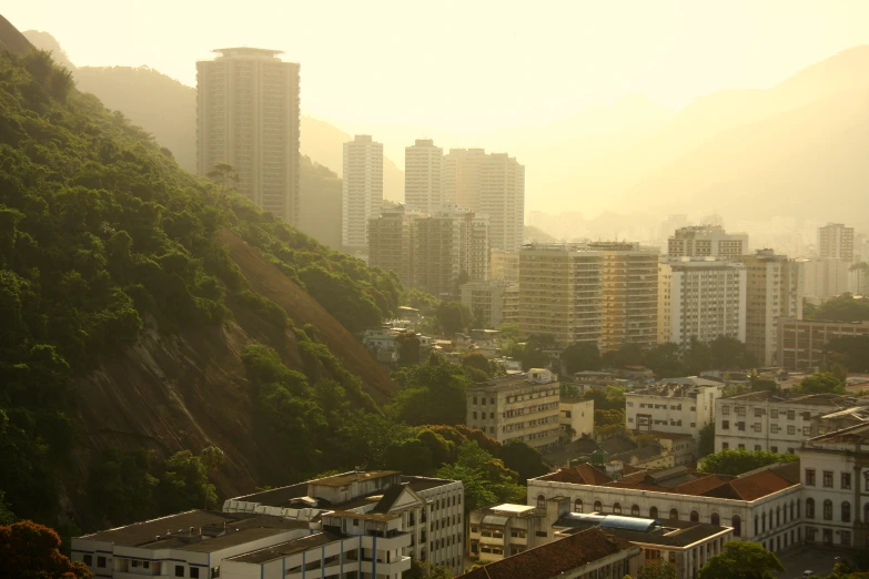 a bird is sitting on a ledge of a city