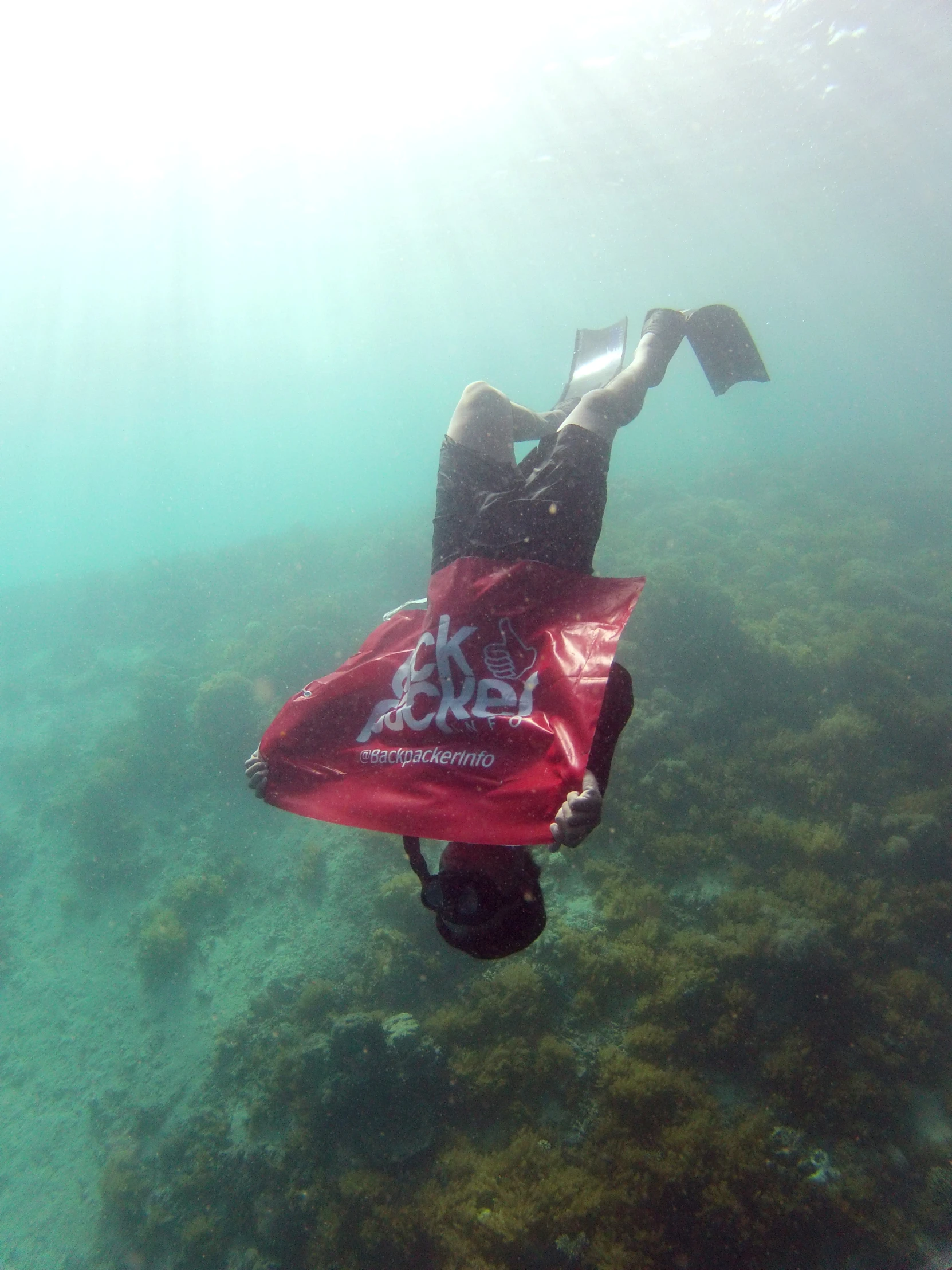 an underwater s with a red bag in it