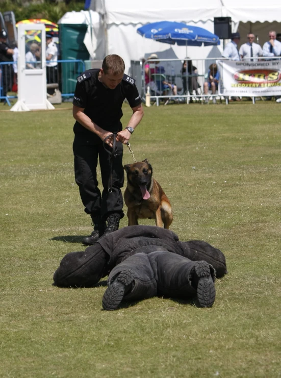 the man is playing tug of war with the dog