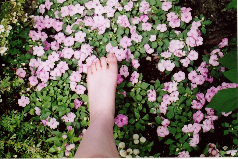 someone with very large feet standing amongst a flower