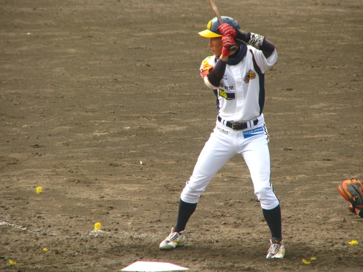 a baseball player holding a bat on top of a field