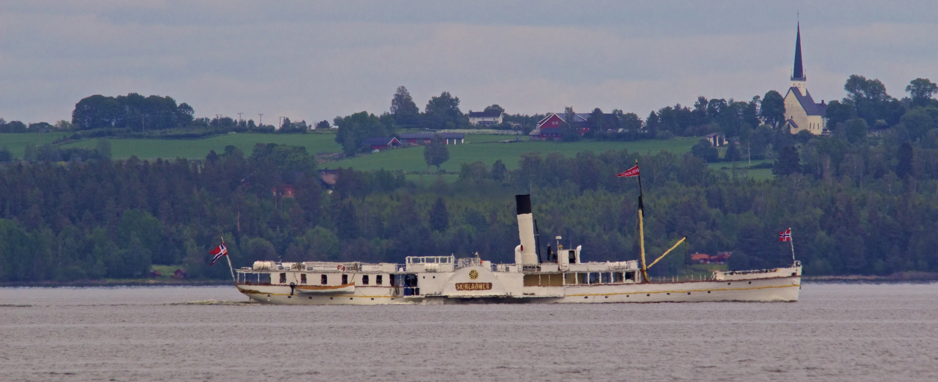 a white boat in water with forest on hillside in the background