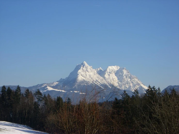 a snow covered mountain side with trees in the foreground