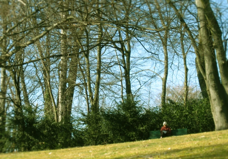 a person sits on a green bench in a park