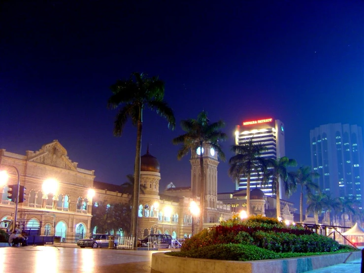 an empty street near some palm trees and buildings